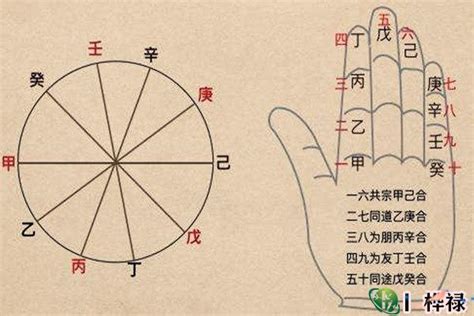 甲己合土|天干五合详解 – 天干五合合化条件